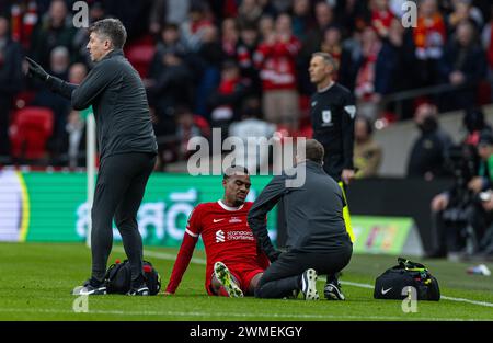 (240226) -- LONDRA, 26 febbraio 2024 (Xinhua) Ryan Gravenberch del Liverpool viene trattato per un infortunio durante la finale della English Football League Cup tra Chelsea e Liverpool a Londra, Regno Unito, il 25 febbraio 2024. (XINHUA)SOLO PER USO EDITORIALE. NON IN VENDITA PER CAMPAGNE PUBBLICITARIE O DI MARKETING. DIVIETO DI UTILIZZO CON AUDIO, VIDEO, DATI, ELENCHI DI INCONTRI, LOGHI CLUB/LEAGUE O SERVIZI "LIVE" NON AUTORIZZATI. UTILIZZO ONLINE IN-MATCH LIMITATO A 45 IMMAGINI, SENZA EMULAZIONE VIDEO. NON È CONSENTITO L'USO IN SCOMMESSE, GIOCHI O PUBBLICAZIONI PER SINGOLI CLUB/CAMPIONATO/GIOCATORI. Foto Stock