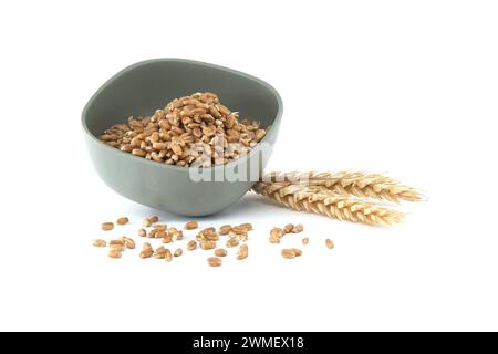 Recipiente in ceramica grigia ripieno di grani di grano e gambi di grano posizionati accanto al recipiente Foto Stock