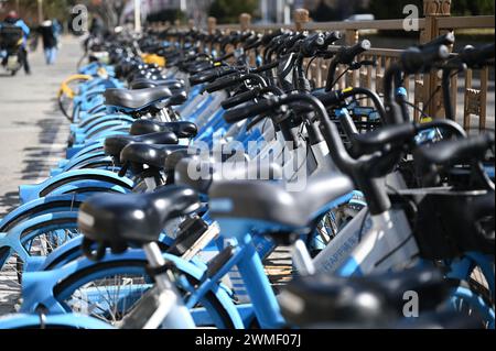 Pechino, Cina. 25 febbraio 2024. Le biciclette noleggiate da fornitori cinesi sono parcheggiate sul marciapiede. Credito: Johannes Neudecker/dpa/Alamy Live News Foto Stock