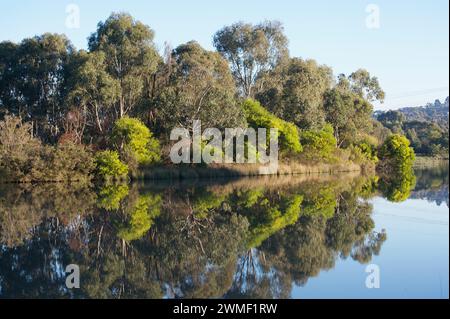 L'acqua ferma, il sole e gli alberi ci regalano splendidi riflessi, come questo al lago Jells Park di Wheelers Hill, Victoria, Australia. Foto Stock