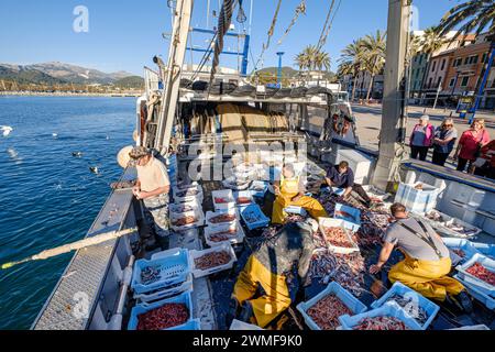 Marinai che selezionano il pesce, pesca de arrastre o pesca de bou, Andratx, Mallorca, Isole Baleari, Spagna Foto Stock