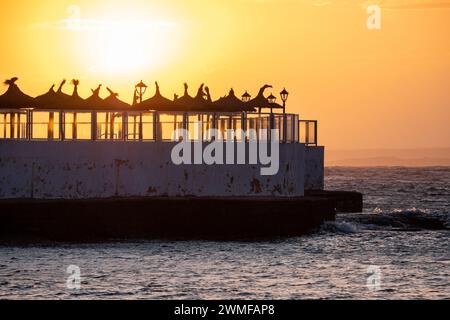 Ombrelloni presso l'hotel Marques, spiaggia es Coto, Maiorca, Isole Baleari, Spagna Foto Stock