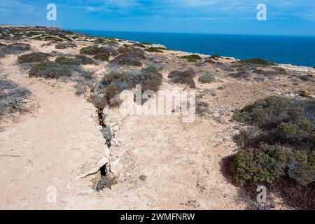 Crepe pericolose nelle scogliere di Nullarbor a causa dell'erosione costiera, Australia meridionale, SA, Australia Foto Stock