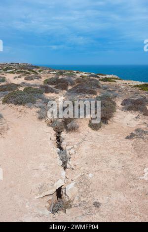 Crepe pericolose nelle scogliere di Nullarbor a causa dell'erosione costiera, Australia meridionale, SA, Australia Foto Stock