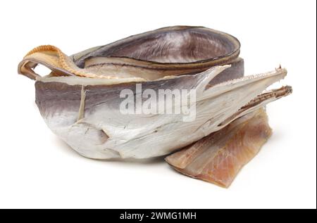 Asciugare le anguille su sfondo bianco Foto Stock