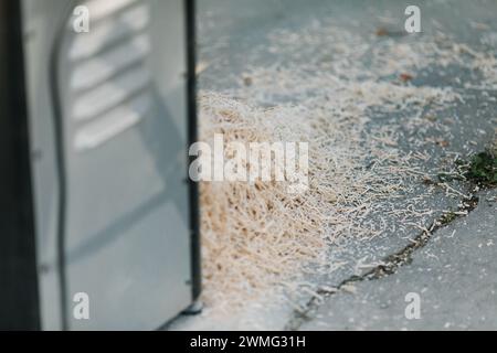 Polvere di segatura fresca versata accanto all'area di lavorazione del legno Foto Stock