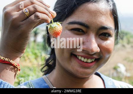 Berastagi, Indonesia. 25 febbraio 2024. Un turista ha visto tenere una fragola in giardino. (Foto di Kartik Byma/SOPA Images/Sipa USA) credito: SIPA USA/Alamy Live News Foto Stock