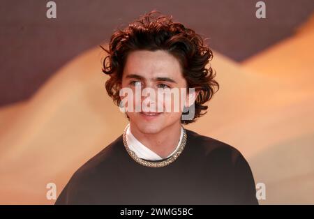 Timothée Chalamet partecipa alla prima mondiale di "Dune: Part Two" a Leicester Square a Londra, Inghilterra. Foto Stock