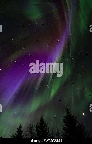 Aurora boreale in una notte d'autunno in Islanda. Turismo camper Foto Stock