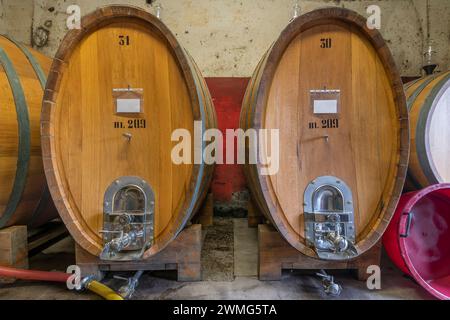 L'interno di una cantina toscana con grandi botti di legno per l'invecchiamento del vino rosso Foto Stock