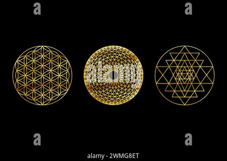 Simboli oro di geometria sacra su sfondo nero. Sri Yantra, Fiore della vita, Torus Yantra. Foto Stock