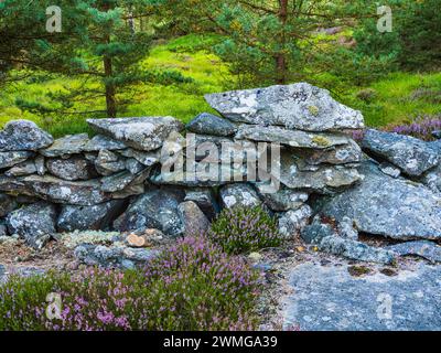 Un rustico muro di pietra, costruito con rocce dalla forma irregolare, sorge in mezzo a una vibrante foresta verde in Svezia. Il muro, ricoperto in macchie di lichene, è surr Foto Stock