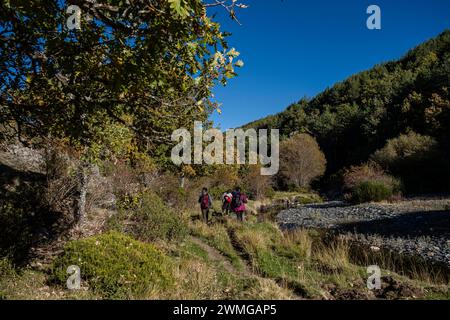 El Sotillo de Tejera Negra, Parco Naturale Sierra Norte de Guadalajara, Cantalojas, Guadalajara, Spagna Foto Stock