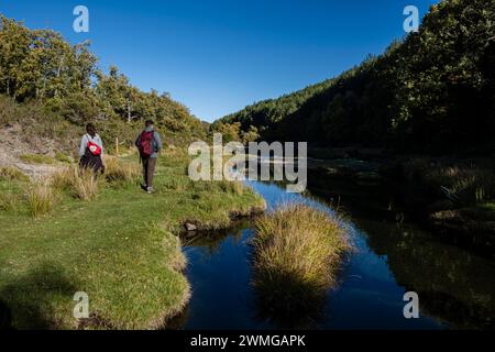 El Sotillo de Tejera Negra, Parco Naturale Sierra Norte de Guadalajara, Cantalojas, Guadalajara, Spagna Foto Stock