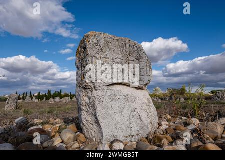 La stele funeraria di Vacceos, necropoli di Las Ruedas, antica città di Vaccea di Pintia, Padilla de Duero, provincia di Valladolid, Spagna Foto Stock