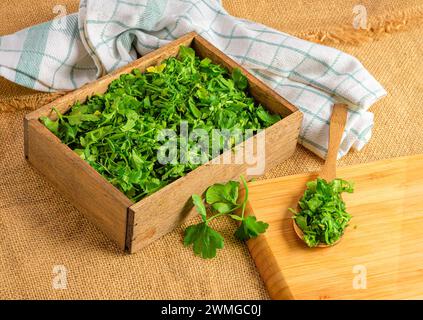 L'ispirazione organica: Utensili in legno ed erbe fresche Foto Stock