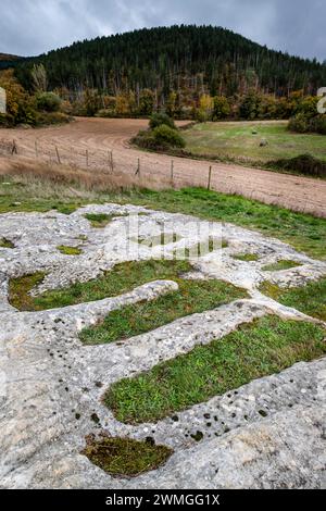 Tombe antropomorfe medievali, Cave chiesa di Santa María de Valverde., Valderreble, Cantabria, España Foto Stock