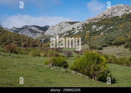 Valle di Tosande. Parco Naturale Fuentes Carrionas, Monte Fuente Cobre-Palentina. Palencia, Spagna Foto Stock