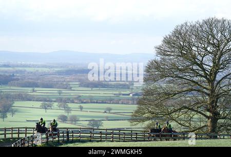 Cavalli al galoppo durante una visita al cortile di Paul Nicholls presso Manor Farm Stables a Shepton Mallet, Somerset. Data foto: Lunedì 26 febbraio 2024. Foto Stock