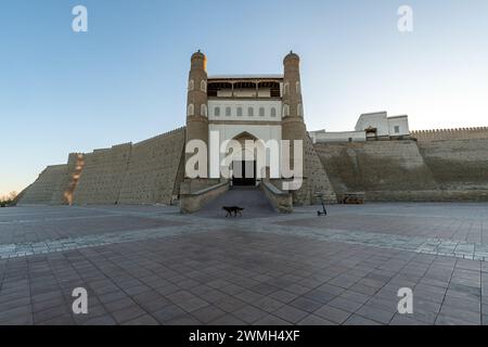 Porta d'ingresso dell'Arca di Bukhara, un'antica e massiccia fortezza situata nella città di Bukhara, Uzbekistan Foto Stock