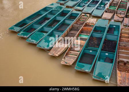 Barche punting ormeggiate sul Tamigi a Oxford, Oxfordshire, Inghilterra, Regno Unito. Foto Stock