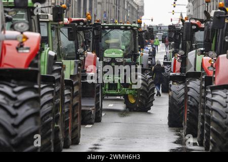 Bruxelles, Belgio. 26 febbraio 2024. L'immagine illustrativa mostra le azioni di protesta delle organizzazioni di agricoltori "Federation Unie de Groupements d'Eleveurs et d'Agriculteurs" (FUGEA), Boerenforum e MAP, organizzate in risposta al Consiglio europeo dell'agricoltura, a Bruxelles, lunedì 26 febbraio 2024. Gli agricoltori continuano la loro protesta in tutta Europa perché chiedono condizioni migliori per crescere, produrre e mantenere un reddito adeguato. BELGA FOTO NICOLAS MAETERLINCK credito: Belga News Agency/Alamy Live News Foto Stock