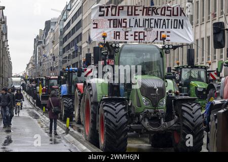 Bruxelles, Belgio. 26 febbraio 2024. L'immagine illustrativa mostra le azioni di protesta delle organizzazioni di agricoltori "Federation Unie de Groupements d'Eleveurs et d'Agriculteurs" (FUGEA), Boerenforum e MAP, organizzate in risposta al Consiglio europeo dell'agricoltura, a Bruxelles, lunedì 26 febbraio 2024. Gli agricoltori continuano la loro protesta in tutta Europa perché chiedono condizioni migliori per crescere, produrre e mantenere un reddito adeguato. BELGA FOTO NICOLAS MAETERLINCK credito: Belga News Agency/Alamy Live News Foto Stock