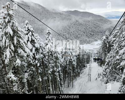 Sciatori in skilift sopra la foresta di pini innevati Foto Stock