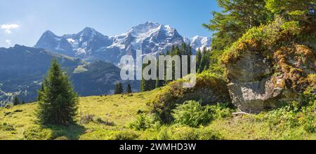le alpi Bernesi con le cime di Jungfrau, Monch e Eiger sui prati delle alpi. Foto Stock