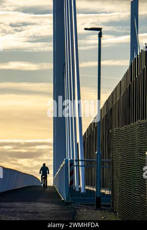 Pista ciclabile e pedonale del ponte A40 Neuenkamp, moli e cavi del nuovo ponte autostradale sul Reno vicino a Duisburg, il vecchio ponte è curren Foto Stock