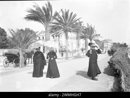 Un gruppo di uomini e donne che camminano durante una passeggiata a Cannes vicino alle palme. Inizio del XX secolo. Vecchia fotografia restaurata dalla lastra di vetro. Foto Stock