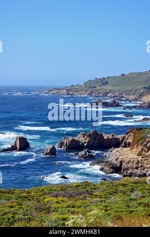 Costa del Pacifico vicino a Big Sur e Monterey, California, Stati Uniti Foto Stock