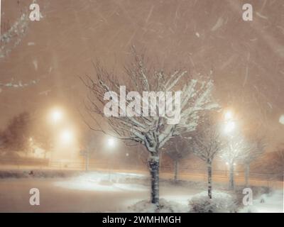 Alberi notturni innevati nel parcheggio nelle giornate ventose Foto Stock