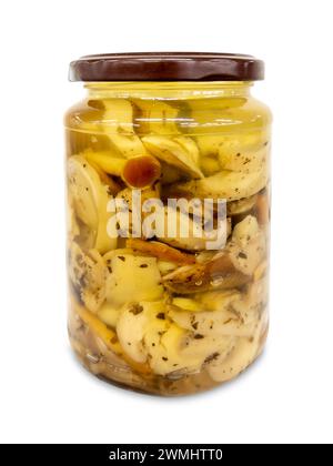 Miscela di funghi con bolo edulis in olio in vaso di vetro isolato su bianco con percorso di ritaglio incluso Foto Stock