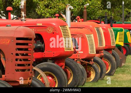 Trattori antichi, grande Oregon Steam-Up, antichi Powerland, Brooks, Oregon Foto Stock