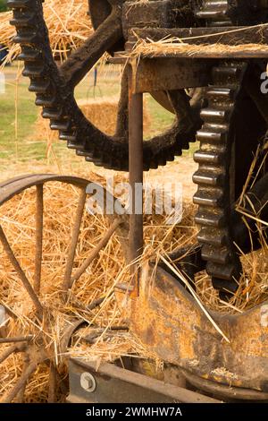 1918 Ann Arbor imballatrice, grande Oregon Steam-Up, antichi Powerland, Brooks, Oregon Foto Stock