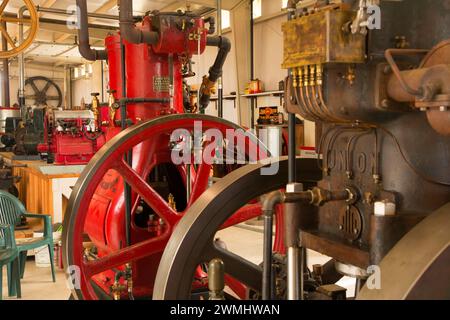 I motori grandi display, grande Oregon Steam-Up, antichi Powerland, Brooks, Oregon Foto Stock