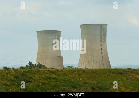 Due torri di raffreddamento industriali alte su un vibrante campo verde, circondate da una vegetazione lussureggiante sotto un cielo azzurro. Foto Stock