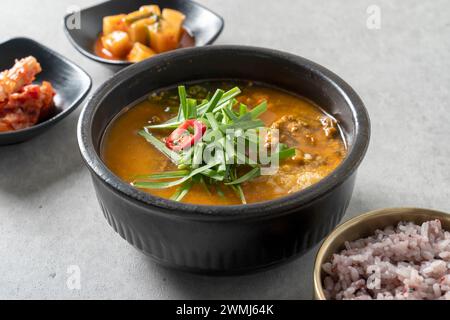 Piatto di cucina coreana Pungcheon acqua dolce anguilla zuppa di anguille grigliate Jjolmyeon stagionato di alghe marine Foto Stock