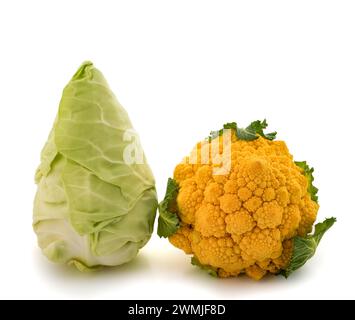 Cavolo appuntito e broccoli Romanesco isolati su sfondo bianco Foto Stock