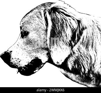 Cane Golden retriever, profilo, vista ritratto, schizzo in nero, isolato Illustrazione Vettoriale