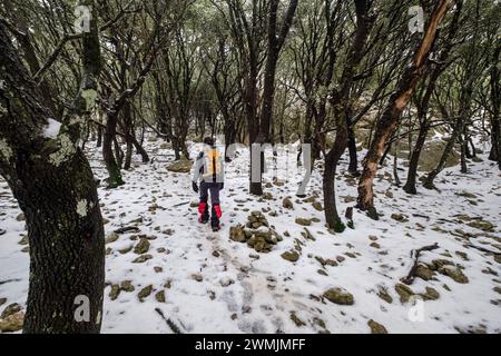 Escursionisti nella foresta di Son Palou, Orient Valley, Bunyola, Maiorca, Isole Baleari, Spagna Foto Stock