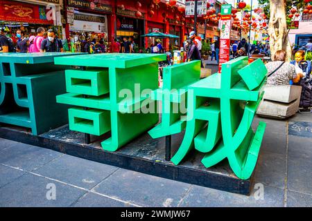 Città del Messico, Messico 11. Febbraio 2021 lettere cinesi nella città cinese chinatown di Centro Historico città del Messico Messico Messico. Foto Stock