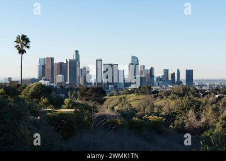 Vista mattutina dello skyline del centro di Los Angeles con palme solitarie. Foto Stock