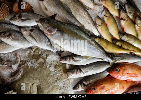 Banco di pesce fresco e pesce sul mercato. Una varietà di pesce su ghiaccio, al mercato del pesce in Finlandia Foto Stock