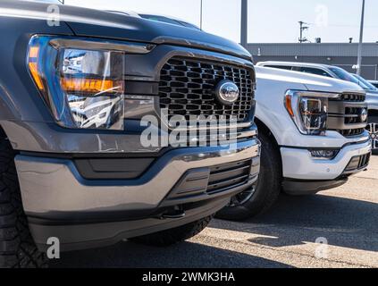 Due pick-up Ford F150 in vendita presso una concessionaria Foto Stock
