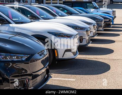 Una linea di nuove Ford Mustang e una Bronco in vendita presso una concessionaria Foto Stock