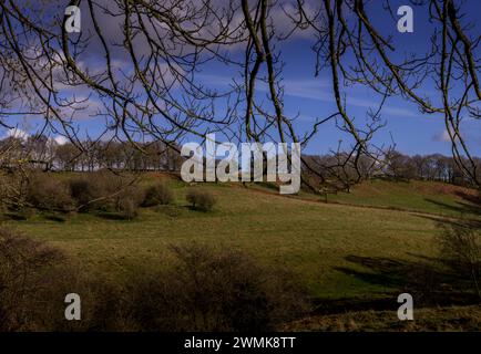 Una scena rurale con il cielo rotto da rami di alberi Foto Stock