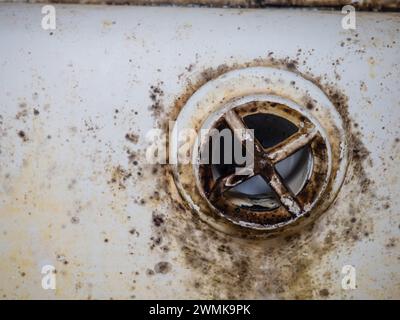 Muffa e placca sullo smalto del bagno. Scarico bagno. Sporcizia e infezione. Deve essere pulito. Concetto di sporco. Placca gialla. Foto Stock