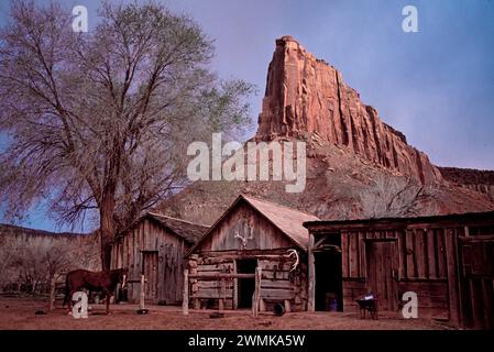 Horse attende un cavaliere per salire in sella fuori dalle bancarelle vicino a Monticello, Utah. Il ranch Indian Creek è di proprietà della Nature Conservancy ed è gestito... Foto Stock